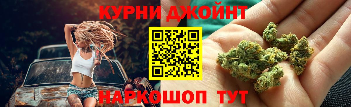 Бошки Шишки семена Солнечногорск